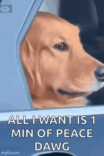 Dog Sticking Head Out Car Window Saying All I Want Is 1 Min Of Peace Dawg GIF