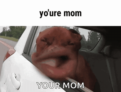 Dog Sticking Head Out Car Window Saying Yo Mom Your Mom GIF