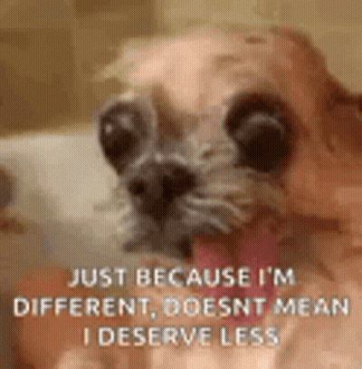 Dog Sticking Tongue Out In Bathtub With Quote GIF