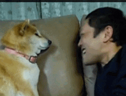 Dog Stops Owner's Kiss You GIF