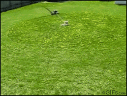 Dog Stuck In Lawn Mower Spiral Loop  GIF