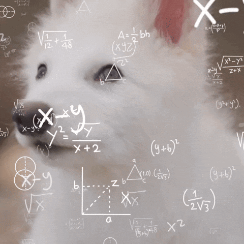Dog Surrounded By Math Equations GIF
