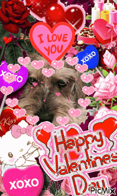 Dog Surrounded By Valentine Decorations Saying I Love You GIF