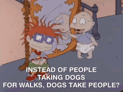 Dog Take People For Walking GIF