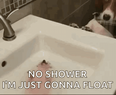 Dog Taking Bath In Sink No Shower I'm Just Gonna Float GIF