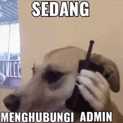 Dog Talking On Cell Phone GIF