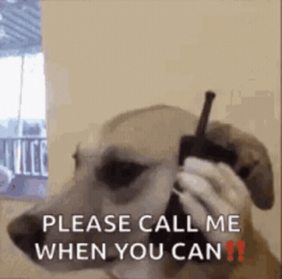 Dog Talking On Cell Phone GIF