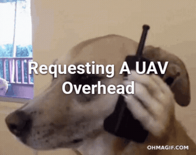 Dog Talking on Cell Phone Requesting UAV Overhead