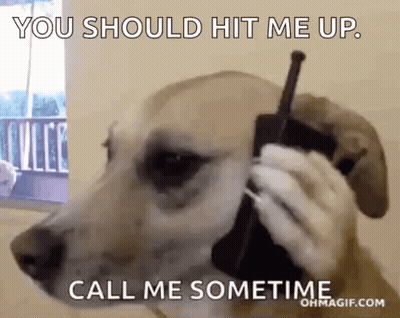 Dog Talking On Cell Phone Says You Should Hit Me Up GIF