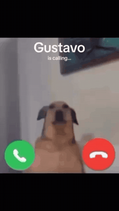 Dog Talking On Phone Gustavo GIF