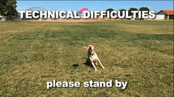 Dog Technical Difficulties GIF