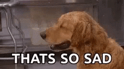 Dog That's So Sad GIF