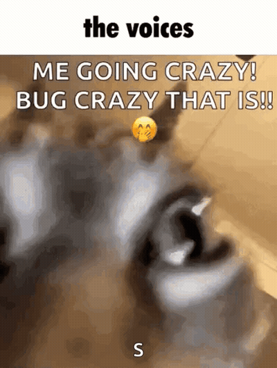 Dog The Voices Me Going Crazy Bug Crazy GIF