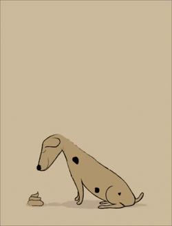 Dog Thinking Poop Is An Ice Cream GIF
