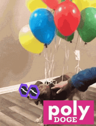 Dog Tied Balloons GIF