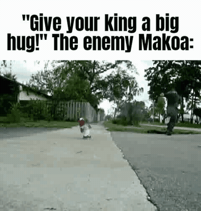 Dog Walking Down Sidewalk GIF