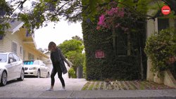 Dog Walking Next To The Girl GIF