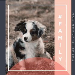 Dog Walking Pose GIF