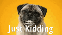 Dog Want To Bite Just Kidding GIF