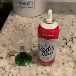 Dog Wanting Whipped Cream GIF