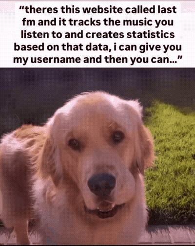 Dog Wearing Abercrombie & Fitch Hat GIF