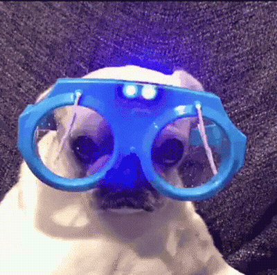 Dog Wearing Blue Glasses With Light On Lenses GIF
