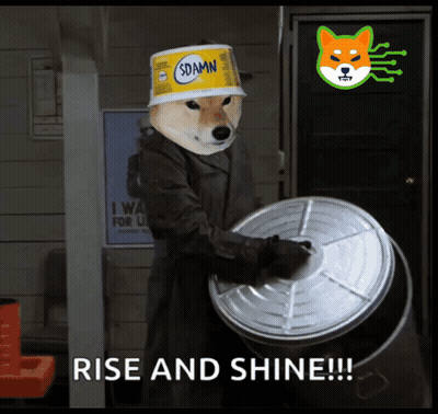 Dog Wearing Bucket On Head GIF