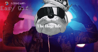Dog Wearing Crown And Sunglasses The Hoge Life GIF