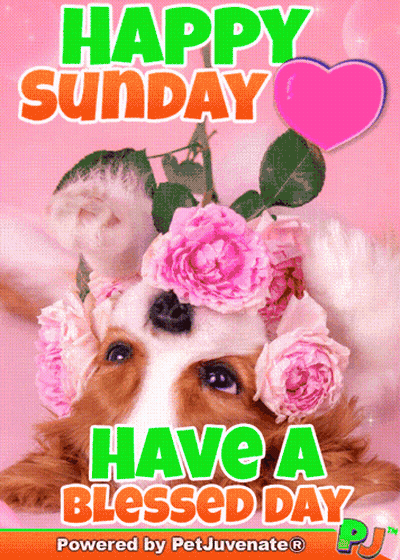 Dog Wearing Flowers Happy Sunday Card GIF
