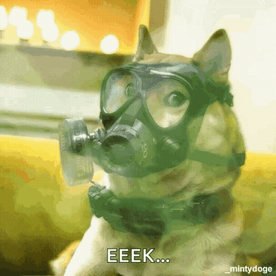 Dog Wearing Gas Mask Eeek GIF