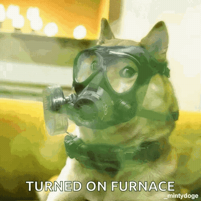 Dog Wearing Gas Mask Turned On Furnace GIF