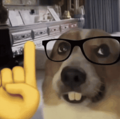 Dog Wearing Glasses Giving Rock Sign GIF