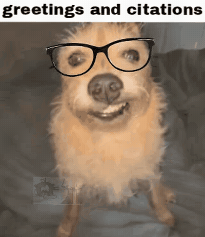 Dog Wearing Glasses Greetings And Citations GIF