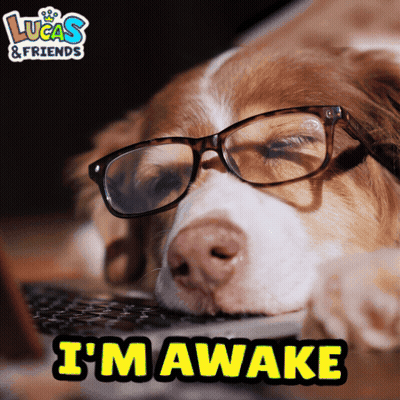 Dog Wearing Glasses Lying On Laptop GIF