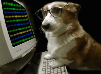 Dog Wearing Glasses Sitting At Computer GIF