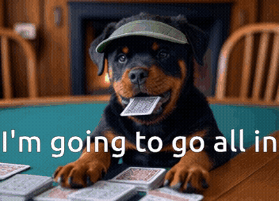 Dog Wearing Hat Playing Cards All In GIF