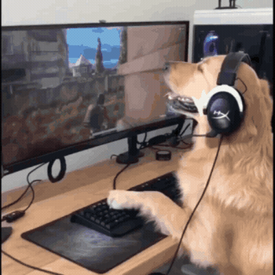 Dog Wearing Headphones Playing Video Game GIF