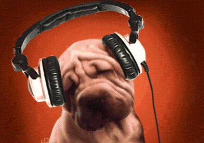 Dog Wearing Headphones With C12 GIF