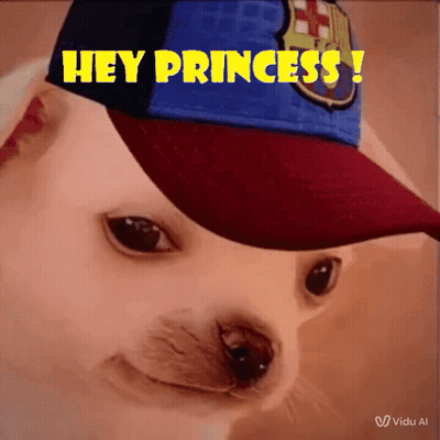Dog Wearing Hey Princess Hat GIF