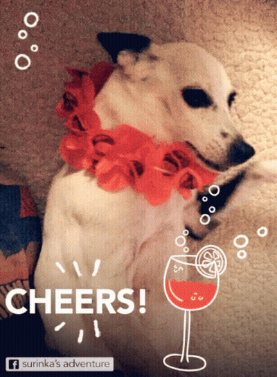 Dog Wearing Lei With Glass Of Wine Saying Cheers GIF