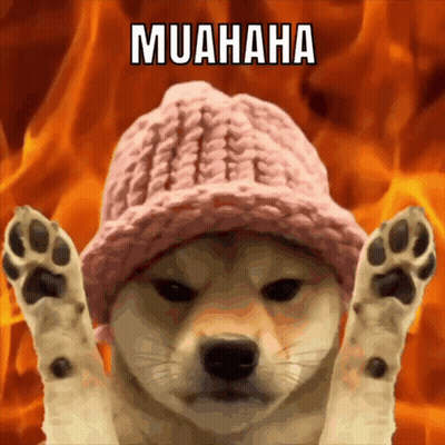 Dog Wearing Pink Hat with Muahaha