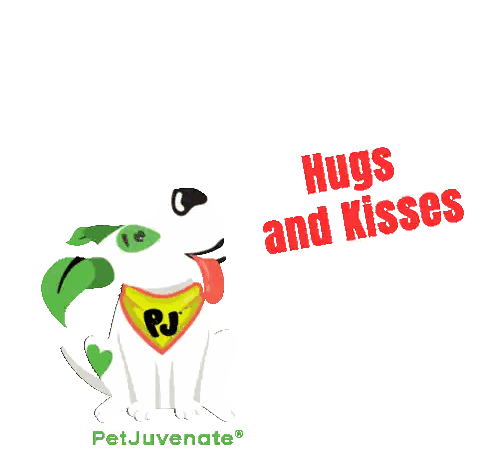 Dog Wearing PJ Hugs And Kisses Bandana Sticker