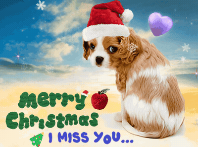 Dog Wearing Santa Hat Christmas Card GIF