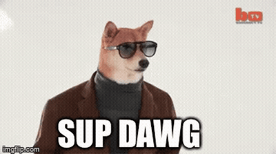 Dog Wearing Sunglasses And Turtleneck Saying Sup GIF