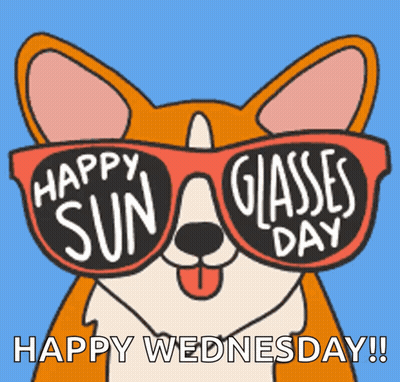 Dog Wearing Sunglasses Happy Sun Glasses Day GIF