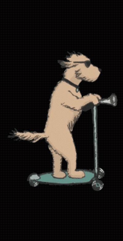 Dog Wearing Sunglasses Riding Scooter GIF