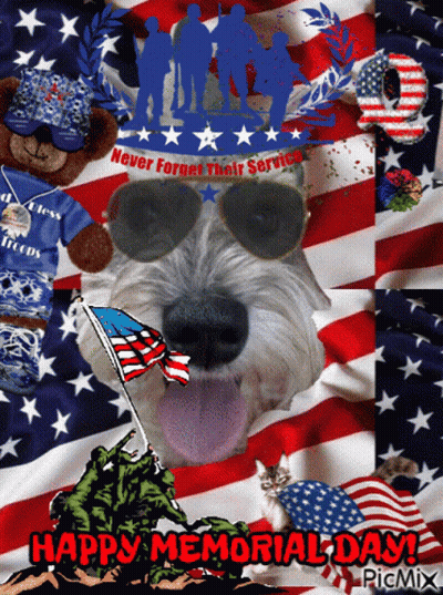 Dog Wearing Sunglasses Saying Happy Memorial Day In Red GIF