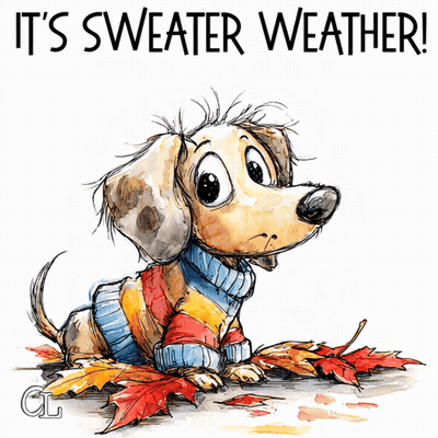 Dog Wearing Sweater Saying Sweater Weather GIF