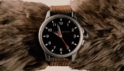 Dog Wearing Wrist Watch GIF