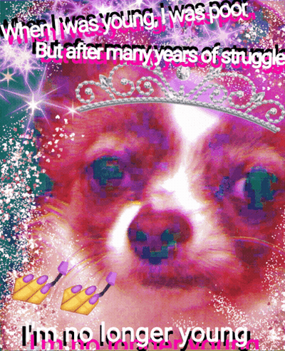 Dog When I Was Young I Was Poor GIF